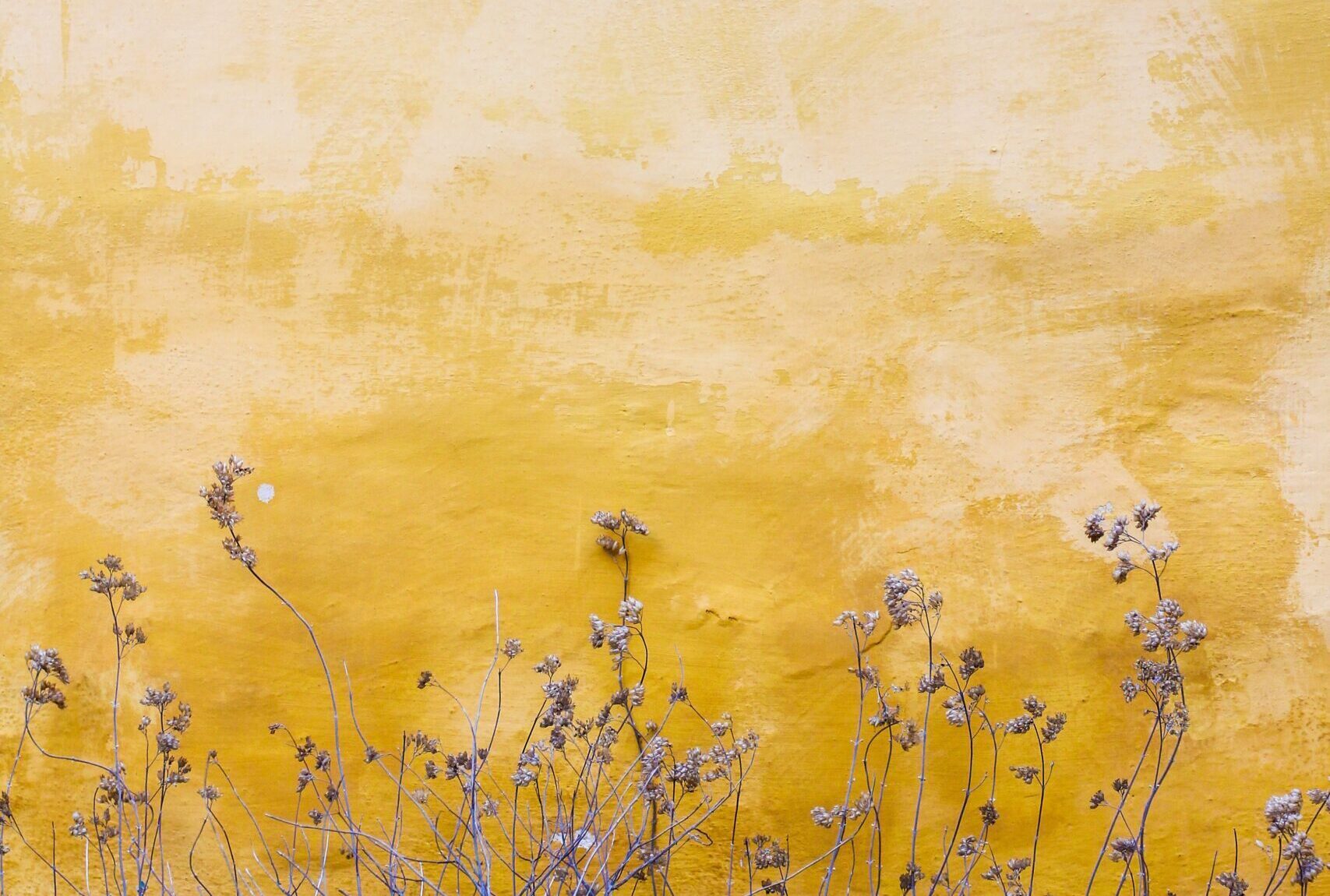 Introduction to Acceptance and Commitment Therapy